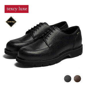 texcy luxe eNV[NX TU-8019 GORE-TEX rWlXV[Y 1E EhgE U`bv dp }`X^C {v Y 傫TCYΉ