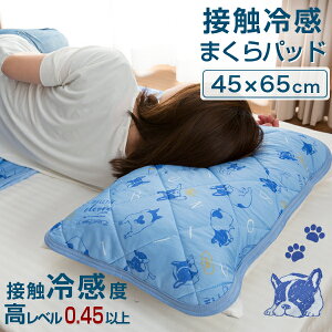 ڐG⊴ pbh 45×65cm (43×63cm Ή) [֑ |  Jo[  ܂ ėp 킢  u[ N[ ⊴ Jo[ 43×63 s[P[X sP[X Ђ s[Jo