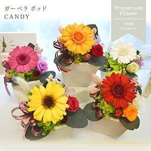 vU[uht[ Mtg K[x |bg CANDY P[X AW a j  j җ Ď  K[x o vU[ht[ uU[ht[ HMtg