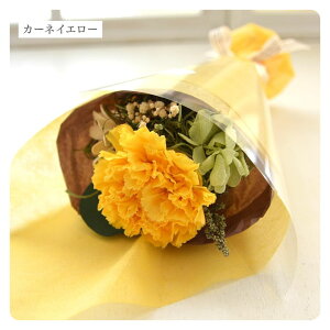 vU[uht[ ԑ ~j u[P v`u[P J[l[V o v[g AeB[N  킢 a j  vU[ht[ uU[h t[  