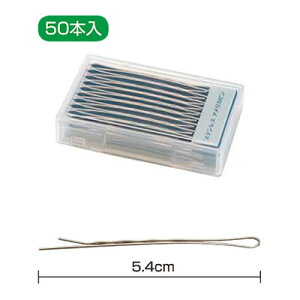 jV_ XeXAJs 50{y4_܂Ń[։z