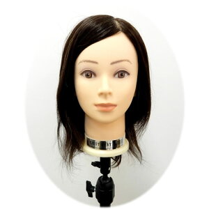 t@[XgOC J[Op 10yfB  JbgK l100%zy݌ɏz