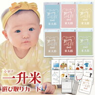 【リニューアル新発売！】一升米 小分け 一生米 一升餅 小分け の代わり 『選び取り セット＆2合×5袋』 …