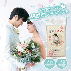  v`Mtg  wwedding rice ߘa 6NY 삱Ђ*2300gxEGCgCX uC_ }p ei  ʐ^  } EFfBO  I Cxg p