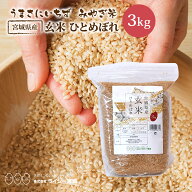 玄米 ひとめぼれ 3kg 宮城県産 令和7年産 送料無料 《3kg》 米 お米 3kg 米3kg 米3キロ ジップ式 チャッ…