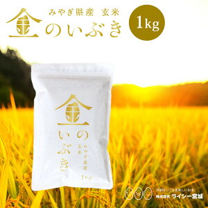 ̂Ԃ  1kg    @\ċF {錧Y ߘa6NY \ s1kgt NlR䂤pPbgł͂ ^󈳏kpbN {錧i {錧  