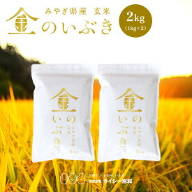 金のいぶき 玄米 2kg 少量 お試し 令和7年産 送料無料 高機能玄米協会認定 宮城県産 高性能玄米 《2kg（1kg × 2袋）》 真空圧縮パック 宮城県水稲奨励品種 宮城県 新米 玄米 国内産米 ブランド米