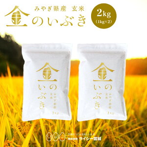 ̂Ԃ  2kg    @\ċF {錧Y ߘa6NY \ s2kgi1kg × 2܁jt ^󈳏kpbN {錧i {錧  Y uh