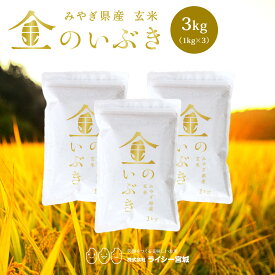金のいぶき 玄米 3kg 令和7年産 送料無料 高機能玄米協会認定 宮城県産 高性能玄米 《3kg（1kg × 3袋）》 真空圧縮パック 宮城県水稲奨励品種 宮城県 新米 玄米 国内産米 ブランド米