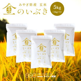 金のいぶき 玄米 5kg 令和7年産 送料無料 高機能玄米協会認定 宮城県産 高性能玄米 《5kg（1kg × 5袋）》 真空圧縮パック 宮城県水稲奨励品種 宮城県 新米 玄米 国内産米 ブランド米