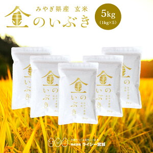 ̂Ԃ  5kg  @\ċF {錧Y ߘa6NY \ s5kgi1kg × 5܁jt ^󈳏kpbN {錧i {錧  Y uh