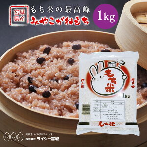 �݂₱���˂��� �ݕ� ������ 1kg �ߘa7�N�Y �������� �{�錧�Y �s1kg�t ���N���l�R�䂤�p�P�b�g�ł��͂��� �݂₱���� �{�錧 �����Y�� 1kg ���� �V�� �P�ꌴ���� ������ �u�����h��