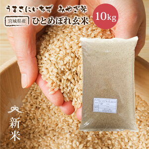 V ЂƂ߂ڂ  { 10kg  {錧Y ߘa7NY s10kgt   10kg 10kg 10L  {錧 Y Pꌴ  uh