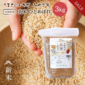 sSALE5%OFFt V  ЂƂ߂ڂ 3kg {錧Y  ߘa7NY s3kgt   3kg 3kg 3L Wbv `bNt   {錧 _ƒ Y Pꌴ  uh