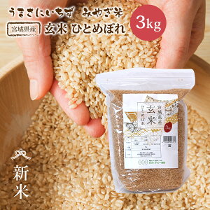 V  ЂƂ߂ڂ 3kg {錧Y  ߘa7NY s3kgt   3kg 3kg 3L Wbv `bNt   {錧 _ƒ Y Pꌴ  uh