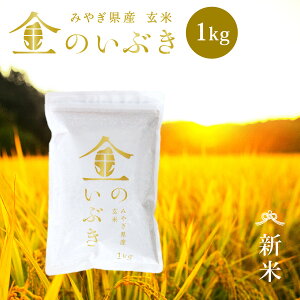 V ̂Ԃ  1kg    @\ċF {錧Y ߘa7NY \ s1kgt NlR䂤pPbgł͂ ^󈳏kpbN {錧i {錧 