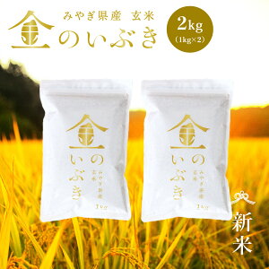 V ̂Ԃ  2kg    @\ċF {錧Y ߘa7NY \ s2kgi1kg × 2܁jt ^󈳏kpbN {錧i {錧  Y uh