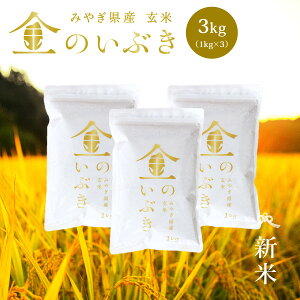 V ̂Ԃ  3kg  @\ċF {錧Y ߘa7NY \ s3kgi1kg × 3܁jt ^󈳏kpbN {錧i {錧  Y uh