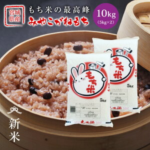 V ݂₱˂ ݕ  10kg  {錧Y ߘa7NY s10kgi5kg × 2܁jt ݕ ݂₱ {錧 Y 10kg  Pꌴ  uh