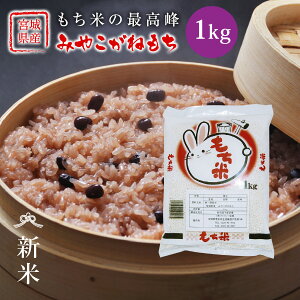 V ݂₱˂ ݕ  1kg  {錧Y ߘa7NY s1kgt NlR䂤pPbgł͂ ݂₱ {錧 Y 1kg  Pꌴ  uh