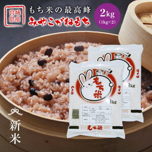 V ݂₱˂ ݕ  2kg  {錧Y ߘa7NY s2kgi1kg × 2܁jt ݕ ݂₱ {錧 Y 2kg  Pꌴ  uh