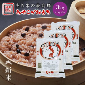 V ݂₱˂ ݕ  3kg  {錧Y ߘa7NY s3kgi1kg × 3܁jt ݕ ݂₱ {錧 Y 3kg  Pꌴ  uh