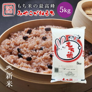 V ݂₱˂ ݕ 5kg  {錧Y ߘa7NY s5kgt  ݂₱ {錧 Y 5kg  Pꌴ  uh