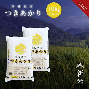 sSALE10%OFFt V   10kg {錧Y  ߘa7NY s10kgi5kg × 2܁jt   10kg 10kg 10L 10L {錧  Y  Pꌴ  uh