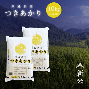 V   10kg {錧Y  ߘa7NY s10kgi5kg × 2܁jt   10kg 10kg 10L 10L {錧  Y  Pꌴ  uh