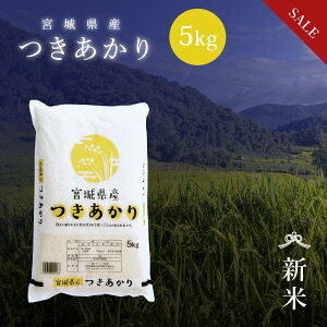 sSALE10%OFFt V   5kg {錧Y  ߘa7NY s5kgt   5kg 5kg 5L 5L {錧  Y  Pꌴ  uh