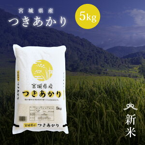 V   5kg {錧Y  ߘa7NY s5kgt   5kg 5kg 5L 5L {錧  Y  Pꌴ  uh