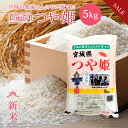 《SALE★10%OFF》 新米 つや姫 米 5kg 送料無料 宮城県産 令和7年産 《5kg》 白米 お米 5kg 米5kg 米5キロ 宮城県 つやひめ 国内産米 精米 単一原料米 検査米 ブランド米 産地直送