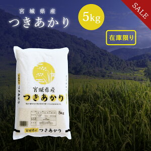 sSALE32%OFF!!t   5kg {錧Y  ߘa6NY s5kgt   5kg 5kg 5L 5L {錧  Y  Pꌴ  uh