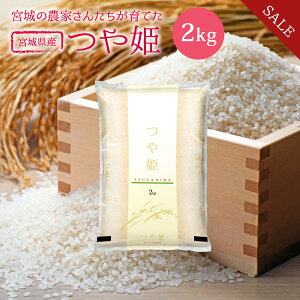 sSALE10%OFFt P  2kg  {錧Y ߘa6NY s2kgt     2kg 2kg 2L {錧 Ђ Y  Pꌴ  uh Yn