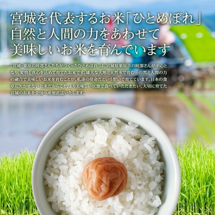 楽天市場】《10%OFF☆SALE》 ひとめぼれ 米 10kg 宮城県栗原の阿部さん 