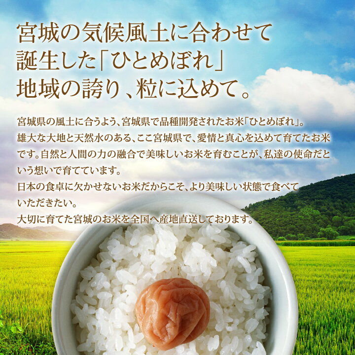 楽天市場】《10%OFF☆SALE》 ひとめぼれ 米 2kg 宮城県ひとめぼれ 令和 