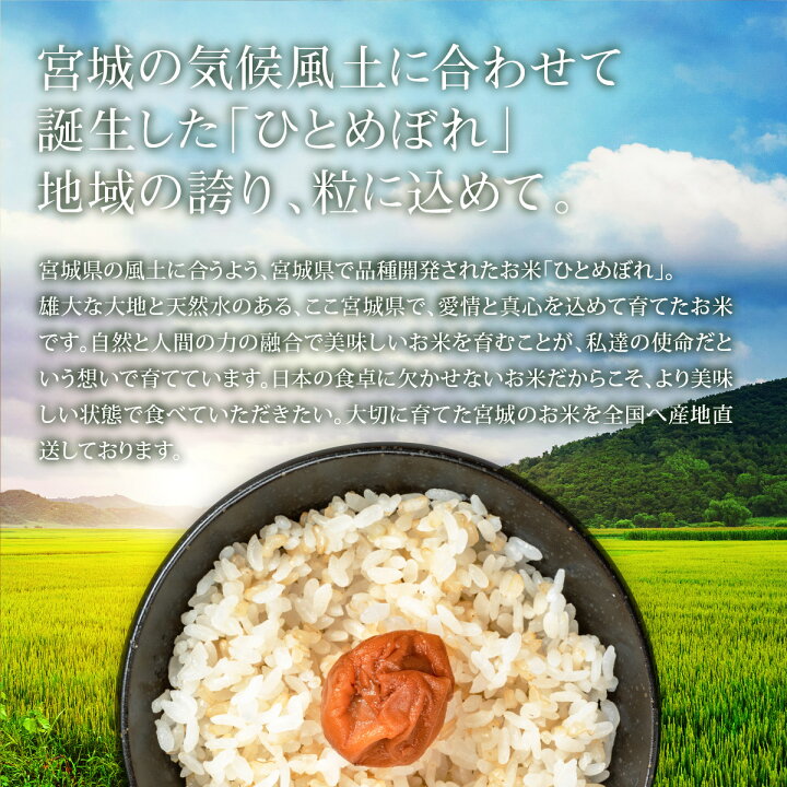 楽天市場】玄米 ひとめぼれ 3kg 宮城県産 令和7年産 送料無料 《3kg 