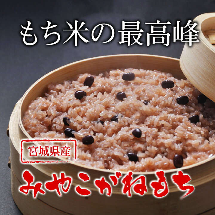楽天市場】みやこがねもち 餅米 もち米 10kg 令和7年産 送料無料 宮城 