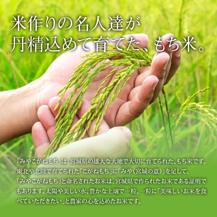 楽天市場】《10%OFF☆SALE》 みやこがねもち 餅米 もち米 10kg 令和7 