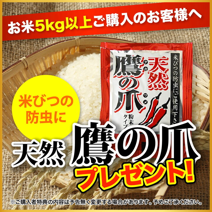 楽天市場】新米 つや姫 米 20kg 送料無料 宮城県産 令和6年産 《20kg 