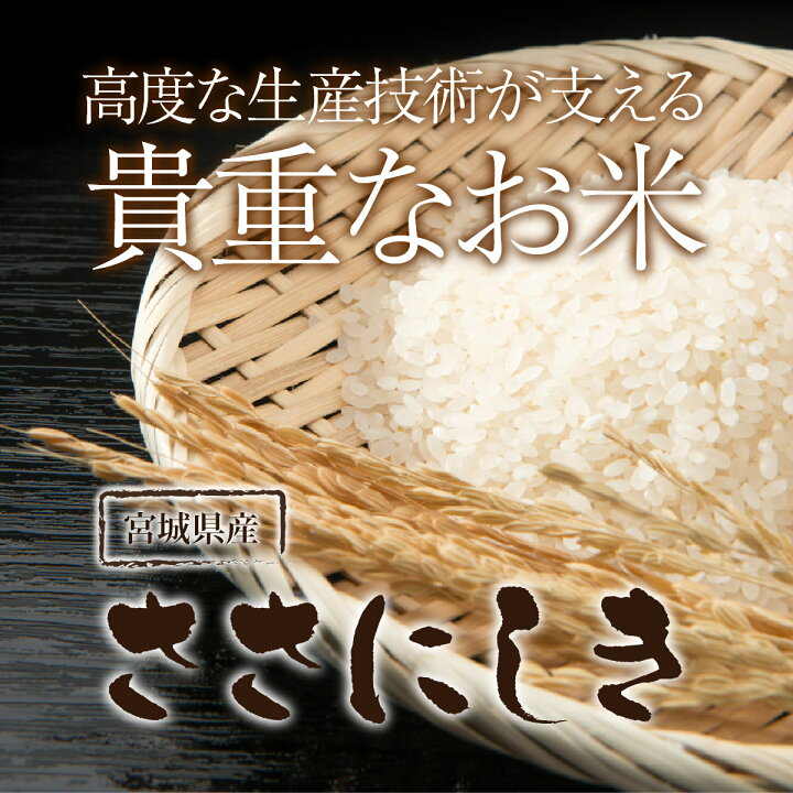 楽天市場】ササニシキ 米 20kg 送料無料 宮城県産 ささにしき 令和6  