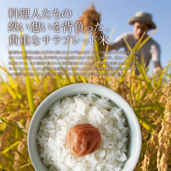 楽天市場】ササニシキ 米 20kg 送料無料 宮城県産 ささにしき 令和6  