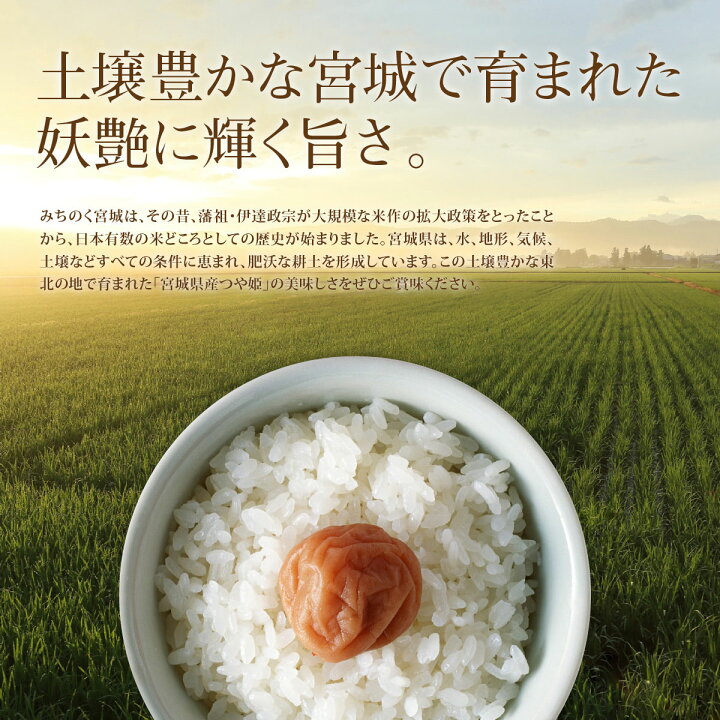 楽天市場】《10%OFF☆SALE》 つや姫 米 10kg 令和7年産 送料無料 宮城 