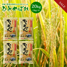楽天市場 お米 送料無料の通販