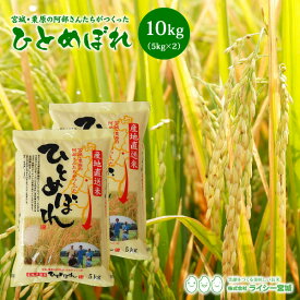 ひとめぼれ 米 10kg 宮城県栗原の阿部さんたちがつくったひとめぼれ 送料無料 産地直送 令和5年産 《10kg（5kg × 2袋）》 白米 お米 10kg 米10kg 米10キロ 精米 検査米 ブランド米