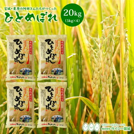 ひとめぼれ 米 20kg 宮城県栗原の阿部さんたちがつくったひとめぼれ 送料無料 あす楽 産地直送 令和5年産 《20kg（5kg × 4袋）》 白米 お米 20kg 米20kg 米20キロ 精米 検査米 ブランド米