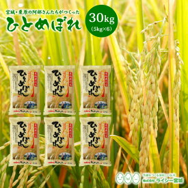 ひとめぼれ 米 30kg 宮城県栗原の阿部さんたちがつくったひとめぼれ 送料無料 あす楽 産地直送 令和5年産 《30kg（5kg × 6袋）》 白米 お米 30kg 米30kg 米30キロ 精米 検査米 ブランド米