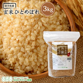 玄米 ひとめぼれ 3kg 岩手県産 送料無料 令和5年産 《3kg》 米 お米 3kg 米3kg 米3キロ ジップ式 チャック付き 玄米 少量 岩手県 農家直送 国内産米 単一原料米 検査米 ブランド米