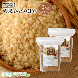 玄米 ひとめぼれ 6kg 岩手県産 送料無料 令和5年産 《6kg（3kg × 2袋）》 米 お米 6kg 米6kg 米6キロ 玄米 ジップ式 チャック付き 岩手県 農家直送 国内産米 単一原料米 検査米 ブランド米