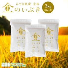 金のいぶき 玄米 3kg 送料無料 あす楽 高機能玄米協会認定 宮城県産 令和5年産 高性能玄米 《3kg（1kg × 3袋）》 真空圧縮パック 宮城県水稲奨励品種 宮城県 玄米 国内産米 ブランド米